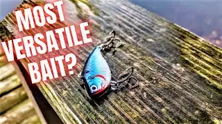 MOST Versatile Hard Bait? | Lipless Crankbaits