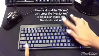 Num Lock  Caps Lock  Scroll Lock Indicator