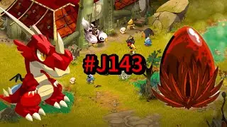 Dofus Touch: 1 jour 1 croca #J143