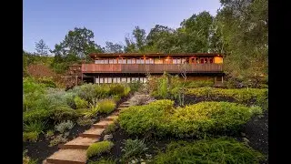 Mid-Century Immersed in Nature