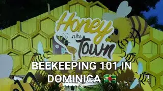 Основы пчеловодства в Доменике 🇩🇲 | Как отличить настоящий мёд от поддельного