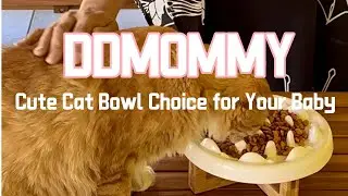 DDMOMMY Slow Feeder Cat Bowl, Elevated Cat Food Bowl Design, Dog Slow Feeder Bowl no Black Chin