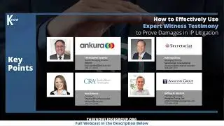 Expert Evidence in IP Litigation CLE: Effective Use