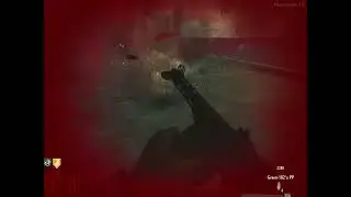 Call od Duty World at War Custom Zombies: The zombies are taking the Mcdoubles!!