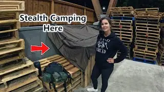 Pallet Stealth Camping at PETSMART