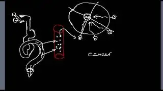 organic vs. non-organic. Roundup and Atrazine cause breast cancer. Explained