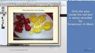 OLD VERSION - Use Screencast-O-Matic to make a video of your presentation.