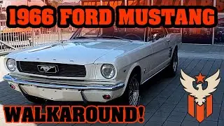 KULTCARS GERMANY - 1966 Ford Mustang Coupe V8 (Ford Performance)