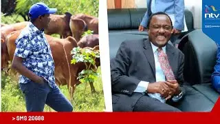 Kalonzo the farmer and the fruit of his labour | Fresh Off The Web