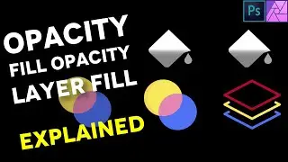 Opacity vs Fill Opacity vs Layer Fill EXPLAINED (Affinity Photo vs Photoshop)