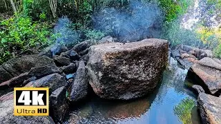 1 HOUR 4K Deep Forest Stream - Deep Relaxation - Healing Water Sounds for Study & Long Sleep