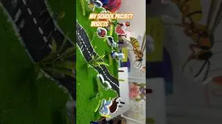 My School Project| Insects #viral #viralboy #jamalkudu #school #projects #insectsproject