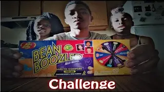 BEAN BOOZLED CHALLENGE! Gross Jelly Belly Beans! (GONE WRONG)
