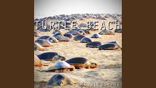 Turtle Beach