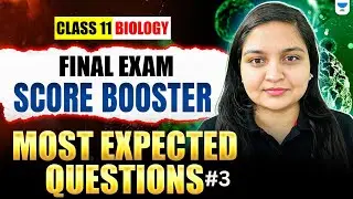 Class 11 Biology Most Expected Questions | Final Exam Booster | Nikita Ma'am