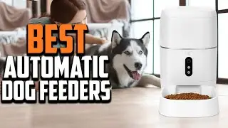 Top 10 Best Automatic Dog and Cat feeders in 2025 Reviews