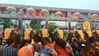 Thirupuram pakal pooram