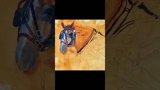 Horse painting in oil. #stepbystep