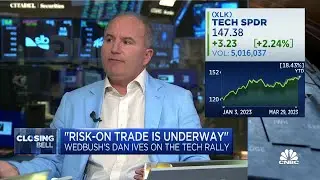 The new safety sector is tech, says Wedbush's Dan Ives