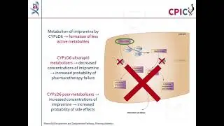 CPIC guideline for imipramine and CYP2C19, CYP2D6