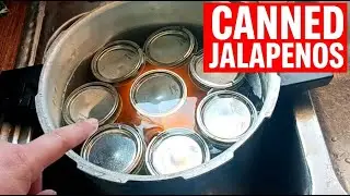 Sweet Heat: Waterbath Canning Candied Jalape&ntilde;os!
