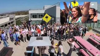 RSC Afternoon Fun in the Sun  | California Pizza Kitchen