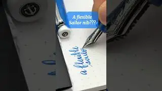 A flexible Sailor nib??? Introducing the Sailor Pro Gear RS - customized by Ralph Reyes