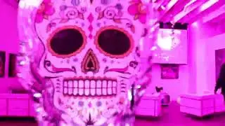 EXOTICO TEQUILA