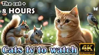 TV FOR CATS -  Interactive Cat TV: 8 Hours of Birds & Mice to Make Your Cat Pounce @Nature-4ktv 70