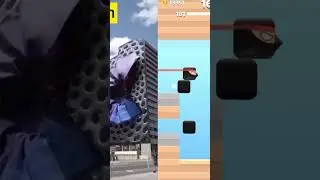 square bird 🥰🥰#shorts #gaming