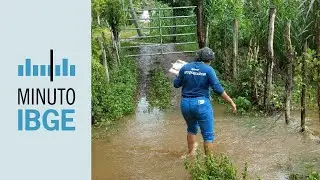 Minuto IBGE 241 - Avan&ccedil;os da PNAD Cont&iacute;nua [&Aacute;UDIO]