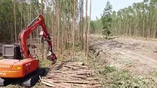 Nisula 425C harvesting heads on 7 ton excavators in Thailand