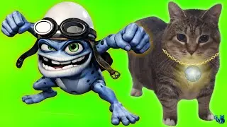 OIIAOIIA CAT & CRAZY FROG -Spinning Cat (TECHNO - Synthwave REMIX) Cat Brainrot Video - OUR BEST 5