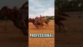 #exe