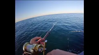 Halibut Fishing on the New Del Mar