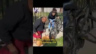 #dogrescue Not all angels have wings. 🙏 #respect #hero #dogsaved #cpr #dogsarea