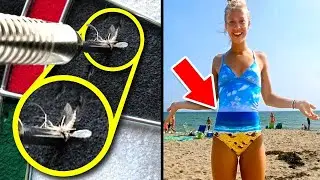 One in A Million Coincidences - Part 2