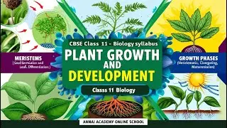 Growing Strong | Plant Growth & Development | Class 11 Biology | CBSE/ICSE/TN Board