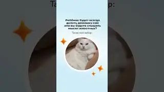100% понимания, 0% осуждения 😎