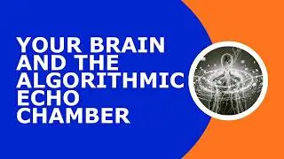 Your Brain & the Algorithmic Echo Chamber