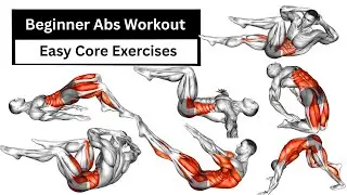 Beginner Abs Workout | Easy Core Exercises Without Equipment