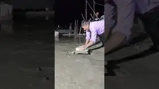 कमाल मिस्त्री जी का #shorts #shortsvideo #short  #construction #viral #building view construction