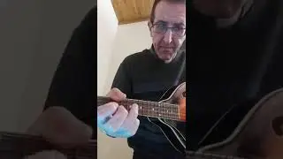 Mandolino Polca