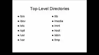 Operating Systems - Linux Basics 1