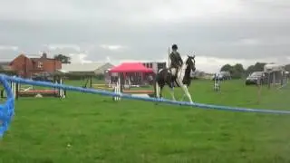 Ridden Showing - Coloured