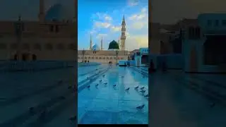 Mohammadan Saiydan