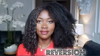 REVERSION: Du Lisse aux Bouclés/Frisés/Crépus