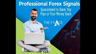 Weekly Forex Performance Update Great Week 250 Pips