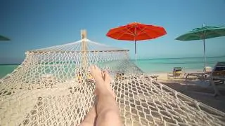 Disney Cruise Line&rsquo;s Castaway Cay 🌴 | Private Island Paradise with Magical Compass Travel! 🚢✨