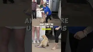 Use This Trick For A Better SIT!
